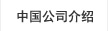 中国公司介绍
